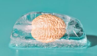 What actually happens when you get a 'brain freeze'