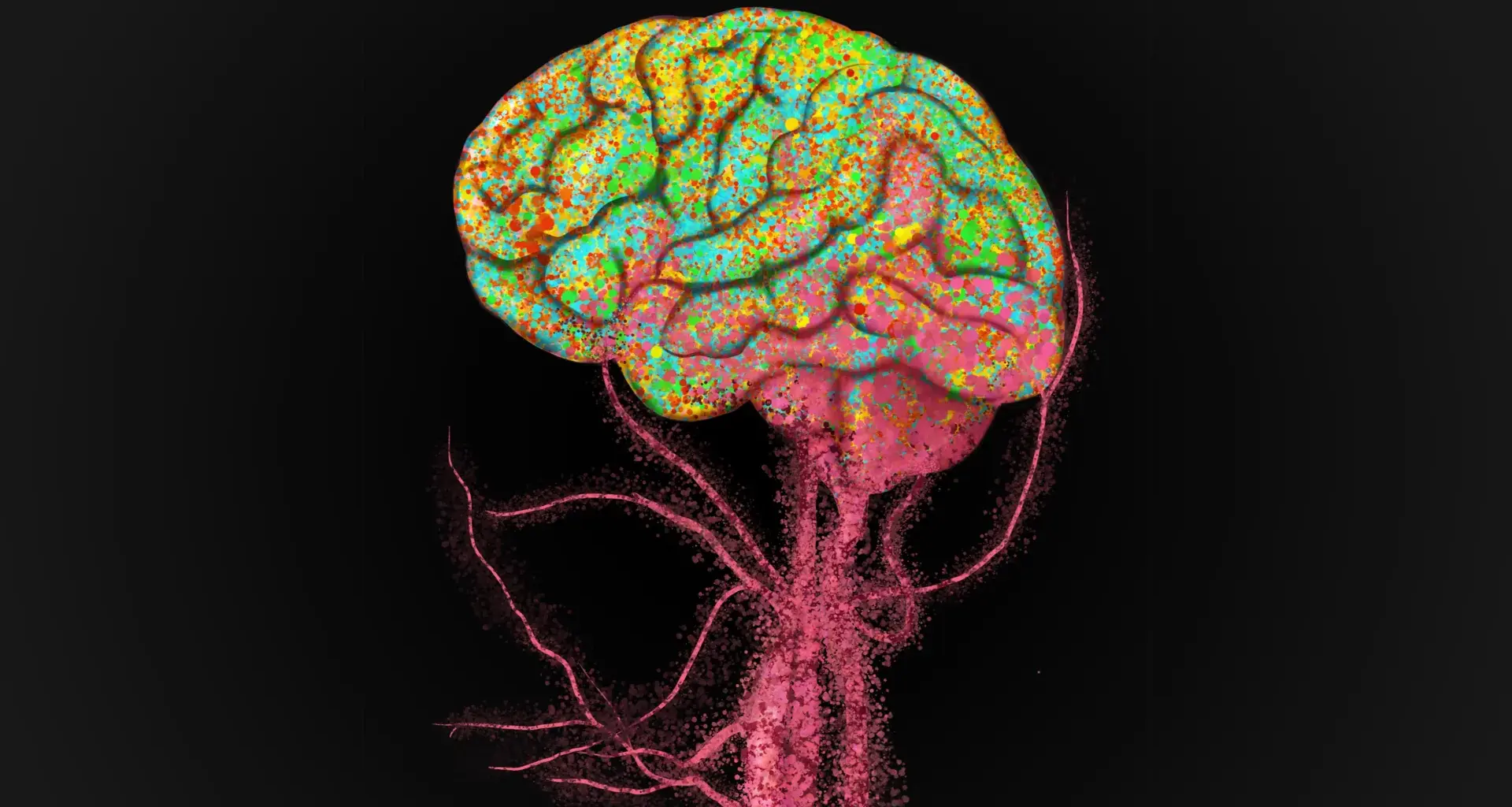 Immune cells flood into the aging brain, Stanford scientists discover