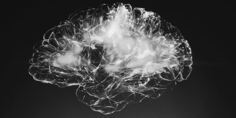 Older married couples demonstrate domain-specific cognitive concordance