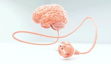 Scientists Discover How the Brain Reuses Neural Circuits