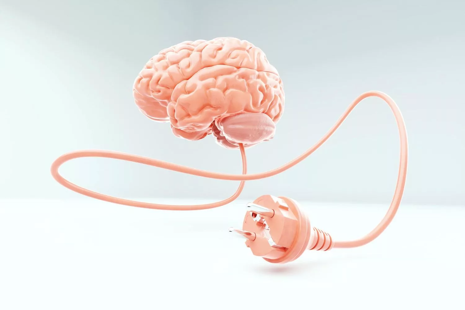Scientists Discover How the Brain Reuses Neural Circuits