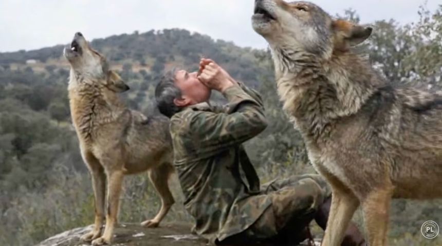 A screenshot from a documentary that Paislobo Prensa published about Marcos Rodríguez Pantoja, the boy raised by wolves in Spain. Director Gerardo Olivares got Rodríguez to tell his story in a series of filmed interviews.