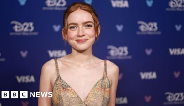 X-Men: Christopher Abbott and Sadie Sink in new Marvel movie - BBC