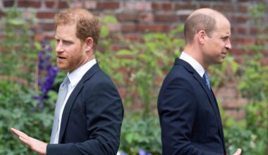 What Does Prince Harry’s Move Back to the UK Mean For His Relationship With Prince William?