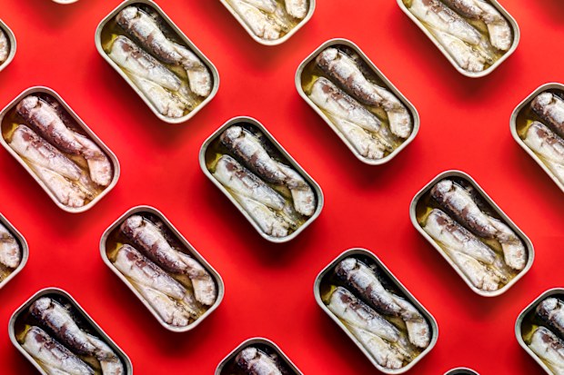 Tins of sardines against a red background