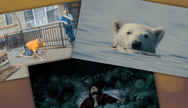 What we saw at Whānau Mārama New Zealand International Film Festival 2026