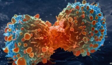 Pilots and Flight Attendants Show Elevated Radiation-Related Cancer Mortality