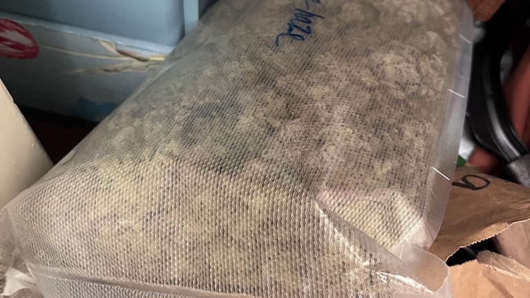 Cannabis seized by police in a Hawke's Bay raid.