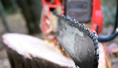 Tree felling death of Southland man highlights DIY risks, coroner says