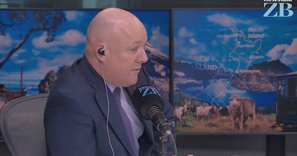 Dunne believes PM's frustration with NZ First, ACT behind MMP call