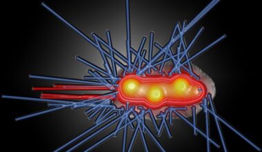 Colliding molecules reveal their 'cone of reaction' – Physics World