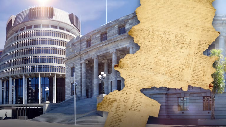 Graphic of NZ Parliament and Te Tiriti o Waitangi.