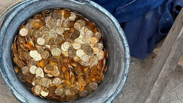 Construction workers in Belgium have struck actual gold — uncovering roughly €9 million (NZ$17.6 million) worth of gold bars and coins hidden in a chest bricked into a cellar.