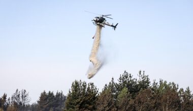 Fire protections drop in NZ as wildfires rage overseas