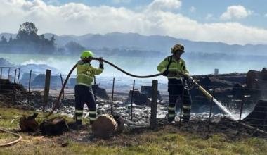 Crews extinguish two vegetation fires in central Hawke's Bay