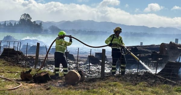 Crews extinguish two vegetation fires in central Hawke's Bay
