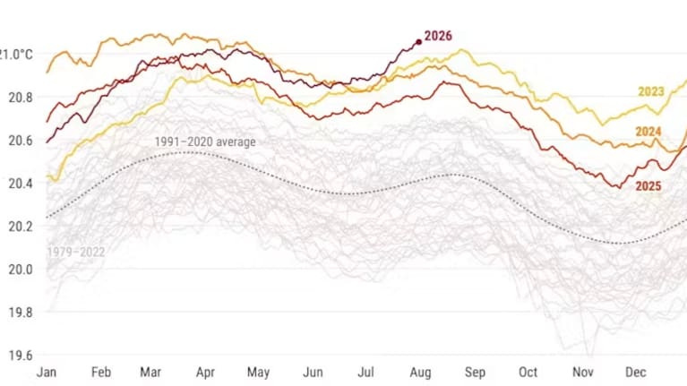 Daily sea-surface temperatures across the world’s oceans between 60°N and 60°S. The four warmest years are highlighted, including 2026 to date. Temperatures normally peak around March, at the end of the Southern Hemisphere summer, as most of the world’s ocean lies south of the equator.