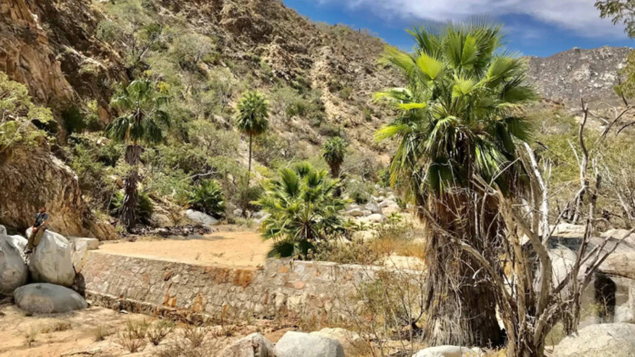 Structures like this one are the basic building block of the "natural infrastructure" approach researchers are studying across arid regions. Image Credits: USGS dam