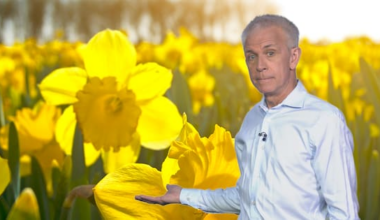 Daniel Corbett - here's what our intensifying El Niño spring will look like