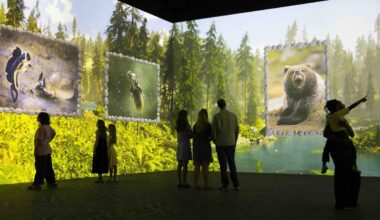 Frameless Nikon Comedy Wildlife Awards