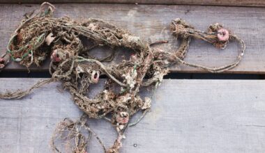The Great Pacific Garbage Patch is not an island of trash: its plastic averages roughly 50 kilograms spread across each square kilometer, and a 2022 study found 75 to 86 percent of the large floating debris by mass came from fishing gear, not household waste