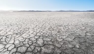 Our Approach to Drought and Wildfire Is Economically Backwards