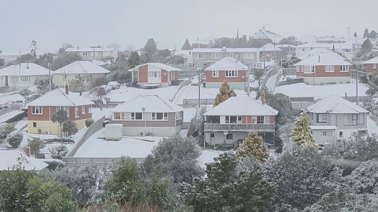 Dunedin homes blanketed by snow.