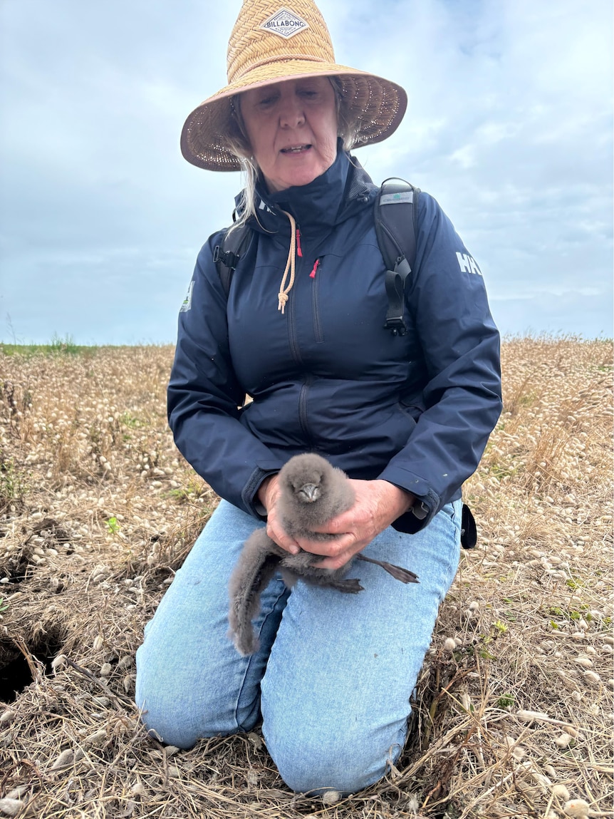 A woman kneeling outdoors holding a young bird. 