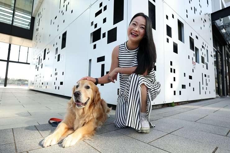 Auckland's City Rail Link is due to open in September. The new stations and connections are set to transform the city - and potentially the city's housing market around stations. Artwork / Beth Walsh