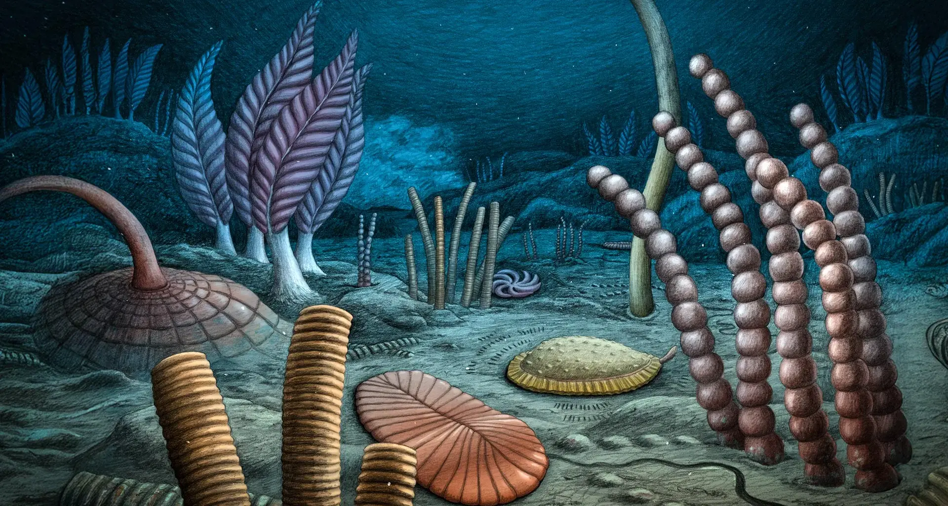 567-million-year-old fossils rewrite the dawn of animal life