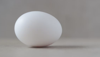 Repeated European Salmonella Outbreaks Traced to Polish Egg Firm