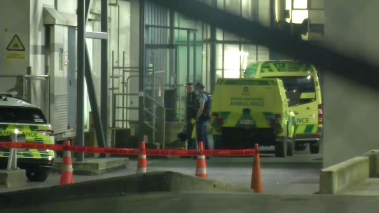 Emergency services responded to a report of a person seriously injured at an address on Portage Road, Ōtāhuhu around 10.30pm.