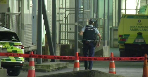 Person dies in workplace incident in Auckland's Ōtāhuhu