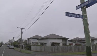 Dog removed after young child killed in Christchurch attack