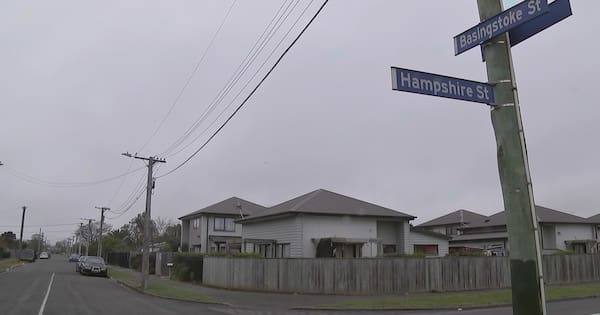 Dog removed after young child killed in Christchurch attack
