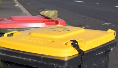 Bin inspections having desired effect in tough-love Southland