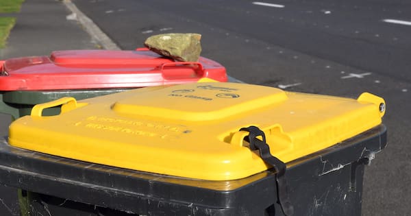 Bin inspections having desired effect in tough-love Southland