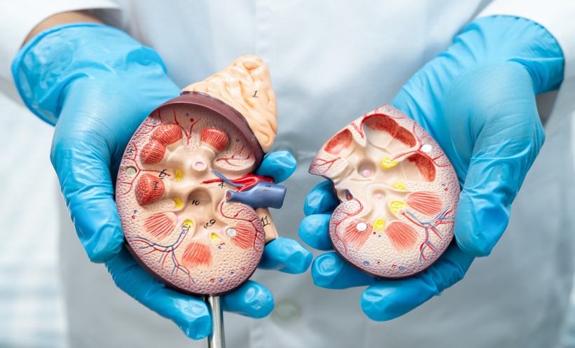 CKD Screening in Heart Disease: ESC 2026 – EMJ
