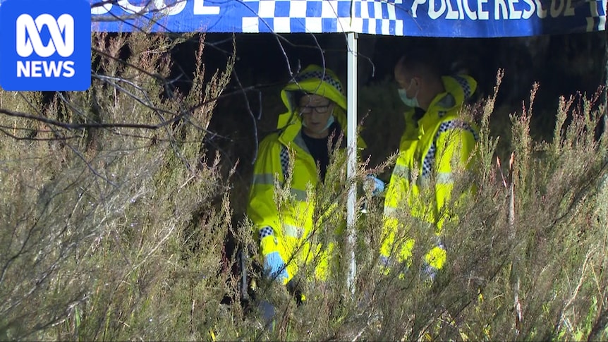 NSW Police say remains in suitcase at Oallen not human