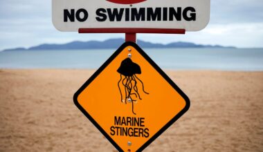 no swimming, marine stingers sign at the beach