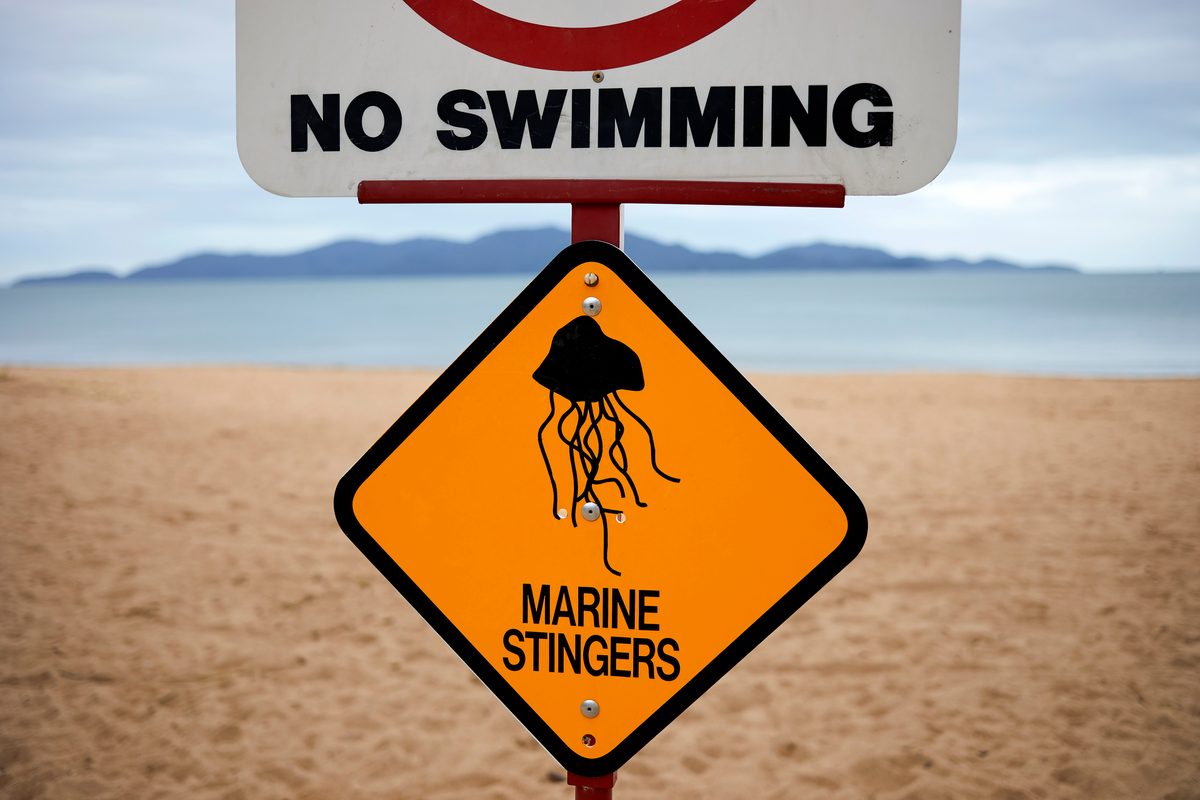 no swimming, marine stingers sign at the beach