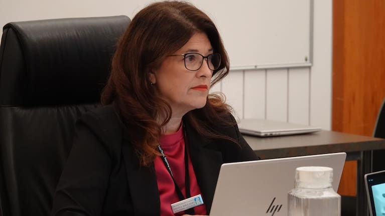 Far North District councillor Davina Smolders has claimed the council's appointment of unelected members to its committees was "unlawful".