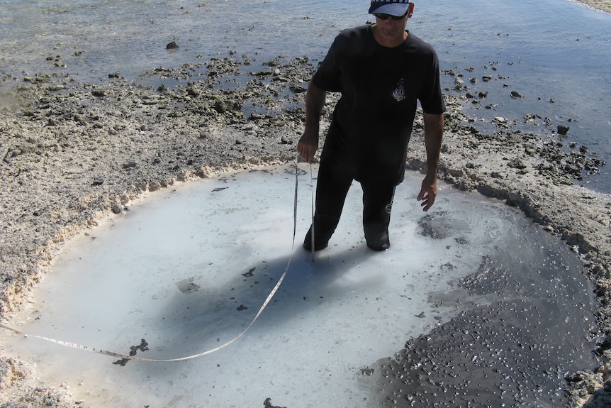 A man stands in a crater on a reef flat with the tide out.