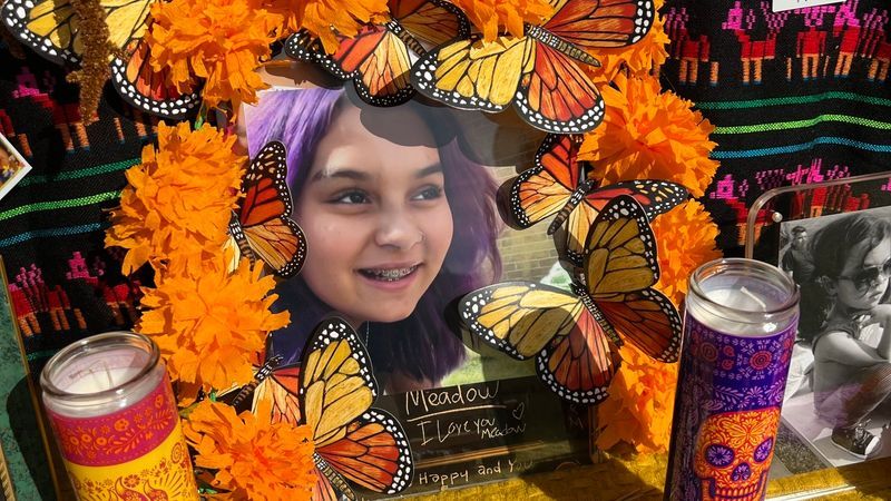 {p}“The story of MeadowFest is the story of my daughter, Meadow, who my family sadly lost in August of 2023,” Goodman said. “She took her own life after suffering from mental illness for about a year.”{/p}