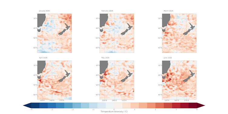 maps showing Marine heatwave in Tasman Sea