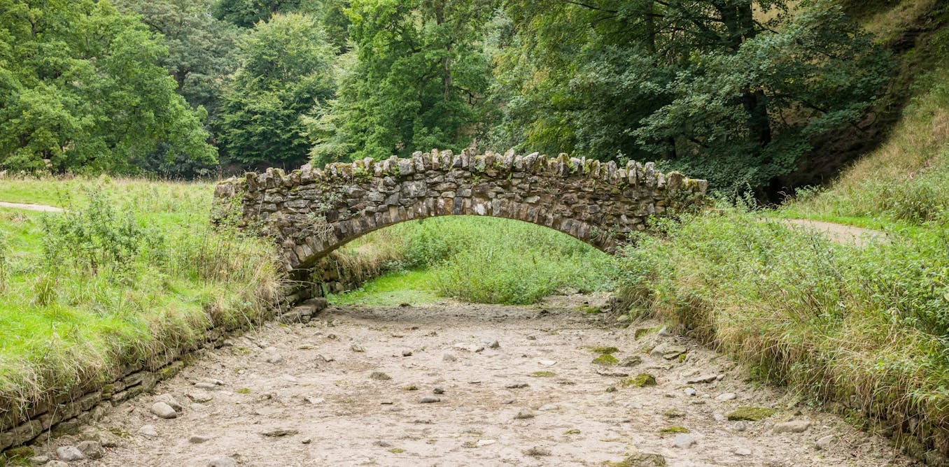 A rollercoaster of weather extremes: drought and heatwaves are creating UK’s climate whiplash