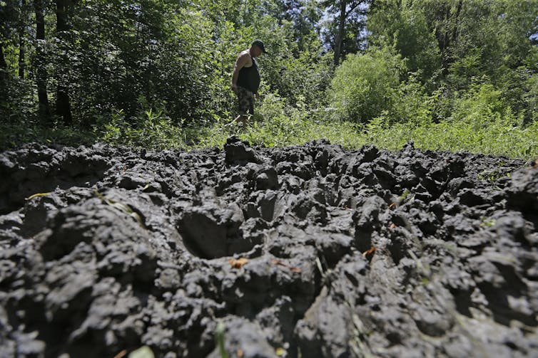 A pile of turned-up mud and dirt in the foreground, with grasses and shrubs in the background.