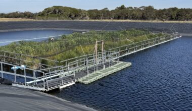 Floating wetlands a promising way to decrease wastewater emissions: new research