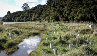 Working with nature can help NZ adapt to climate change. Where is the plan to do it?