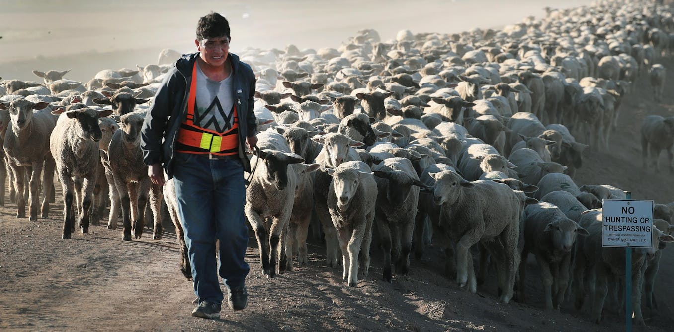 Relentless heat and drought take a toll on herders’ physical and mental health, in Kenya and the US
